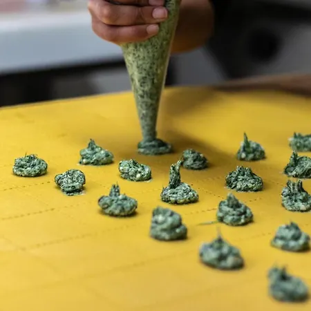 Agricola Casa Cucina Bottega Feriegård