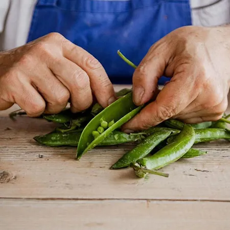 Feriegård Agricola Casa Cucina Bottega