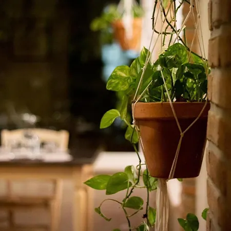 Agricola Casa Cucina Bottega 팜스테이 체세나