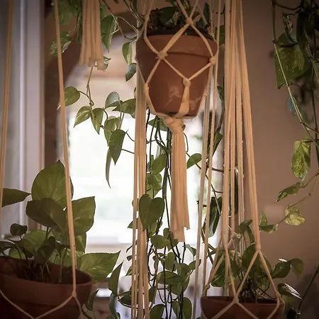 Agricola Casa Cucina Bottega * Cesena