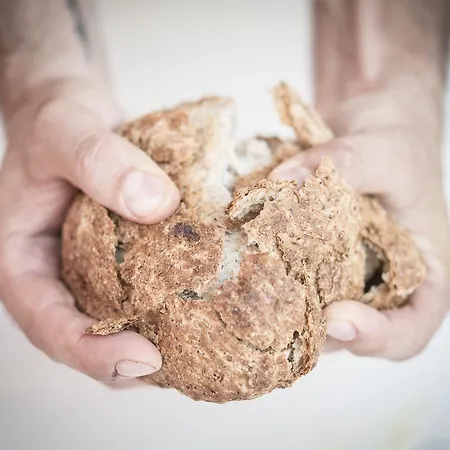 팜스테이 Agricola Casa Cucina Bottega 체세나