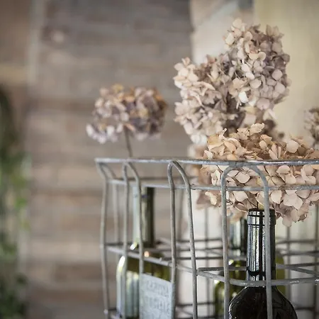 Agricola Casa Cucina Bottega * 체세나