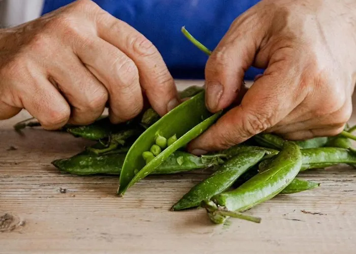 Lantgård Agricola Casa Cucina Bottega