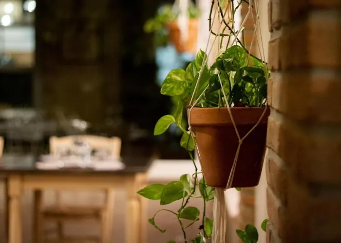 Agricola Casa Cucina Bottega Фермерский дом Чезена