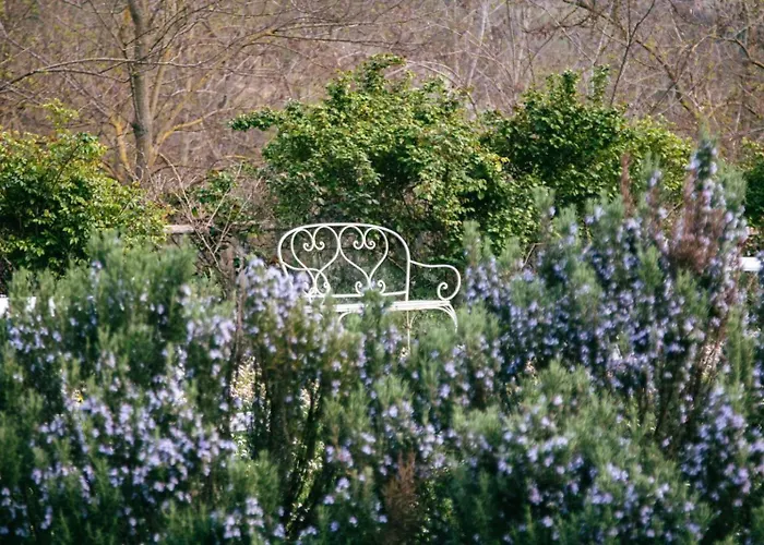 Agricola Casa Cucina Bottega Lantgård *