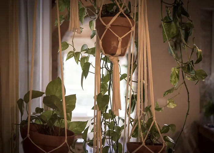 Agricola Casa Cucina Bottega * Cesena