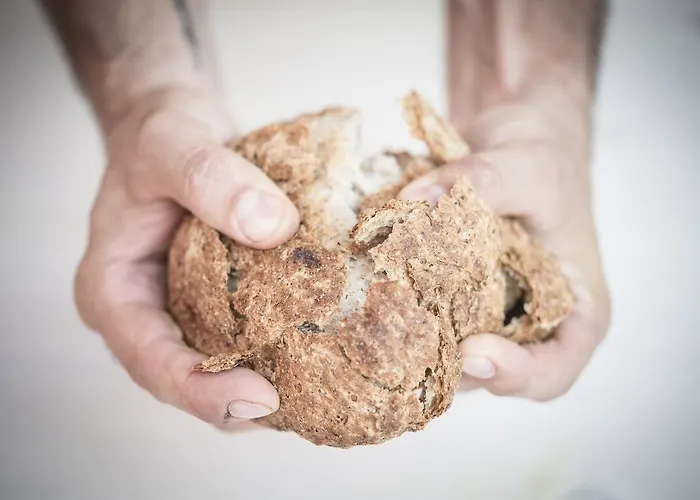 Lantgård Agricola Casa Cucina Bottega Cesena