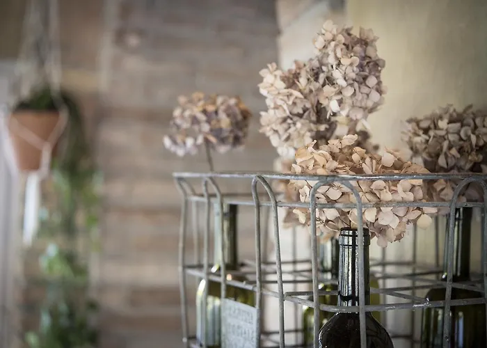 Agricola Casa Cucina Bottega * Cesena